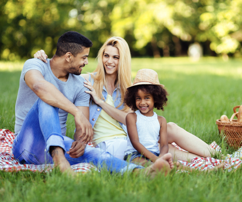 happy family picnic